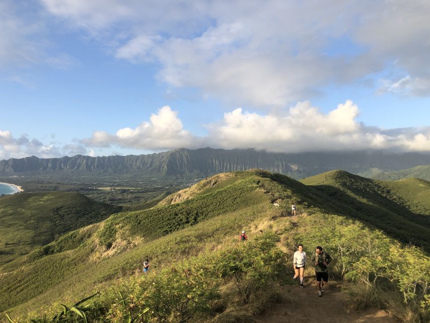 Oahu: Manoa Falls Hike and east side beach day - Why This Tour Is a Smart Choice