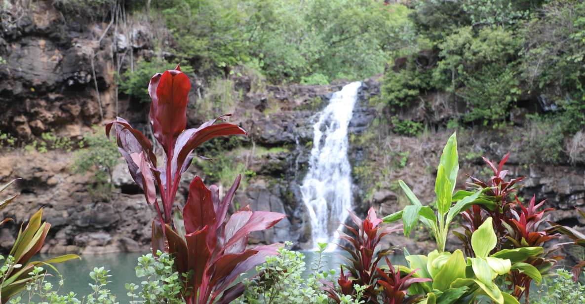 Oahu: Valley of Waimea Falls Swim & Hike with Lunch & Dole - A Closer Look at the Day