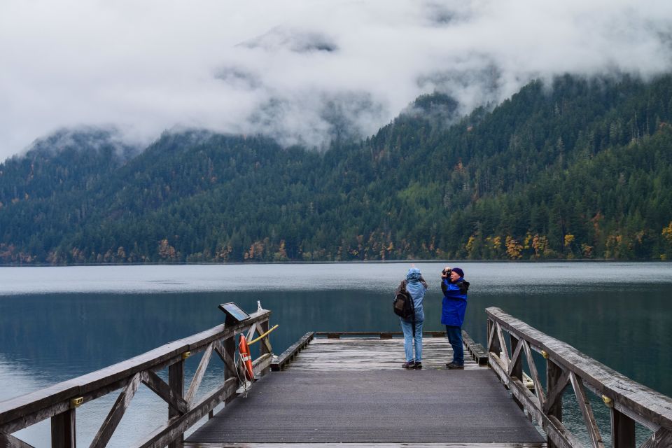 Olympic National Park: Sol Duc and Hurricane Ridge Tour - A Day in Scenic Wonders: An In-Depth Look at the Tour
