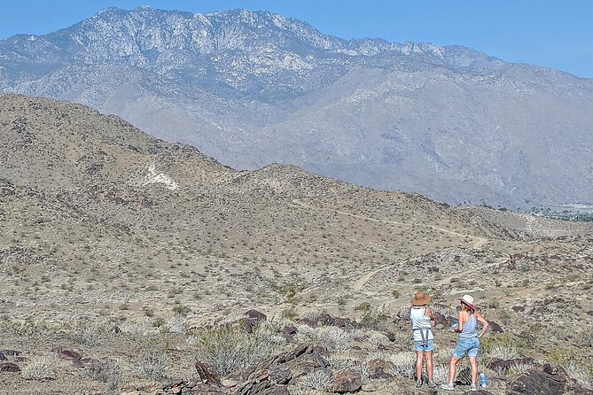 Palm Springs Hike to an Oasis and Amazing Desert Views - What the Guides Bring to the Table