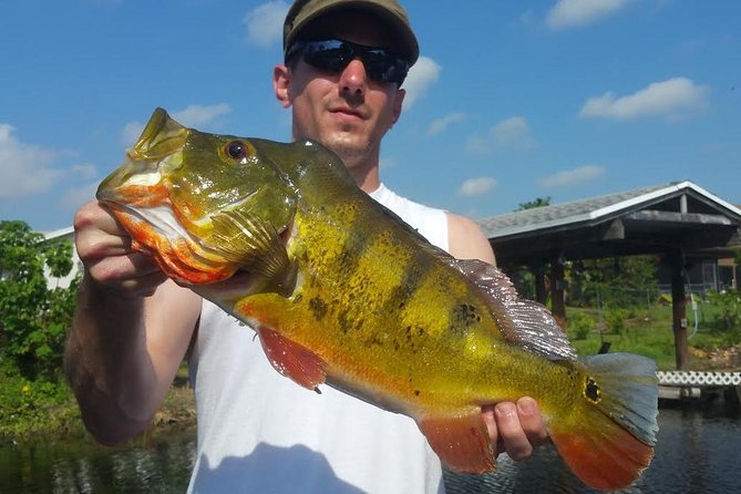 Peacock Bass Fishing Trip in Boynton Beach - An Honest Look at the Experience