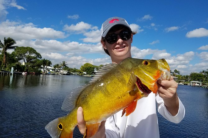 Peacock Bass Fishing Trip near Palm Beach - Highlights