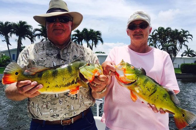 Peacock Bass Fishing Trips Near Key Largo - A Deep Dive into the Experience