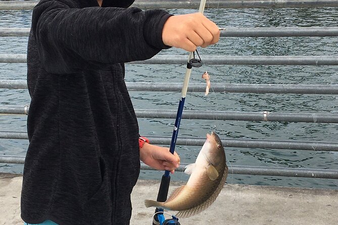 Pier Fishing Tour - San Diego - A Full Breakdown of the San Diego Pier Fishing Experience
