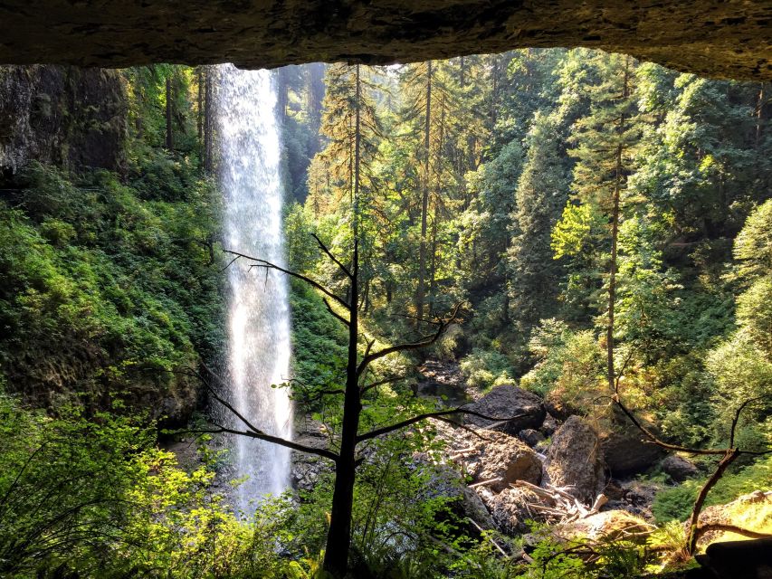 Portland: Silver Falls Hike - Highlights of the Silver Falls Hike Tour