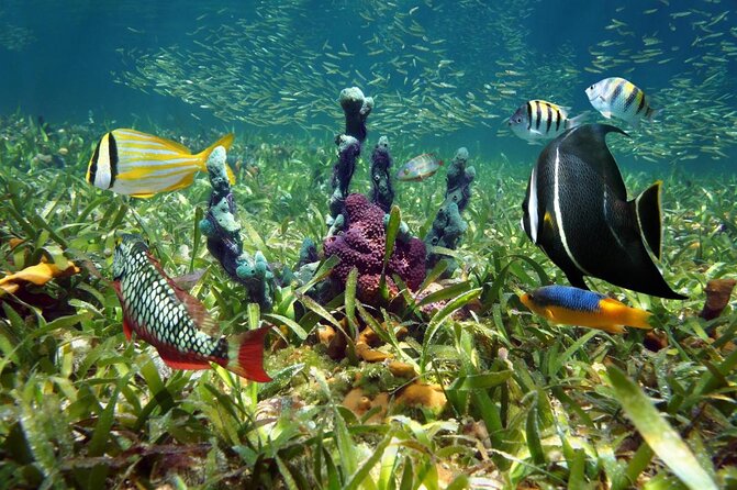 Private Fishing Charter from Ramrod Key - The Sum Up: Who Should Book This Trip?
