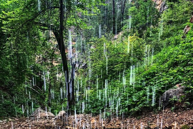 Private Spearfish Canyon Hike - In-Depth Review of the Private Spearfish Canyon Hike