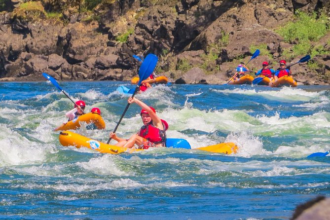 Riggins Idaho half-day rafting trip on the Salmon River - Highlights of the Riggins Idaho Half-Day Rafting Experience