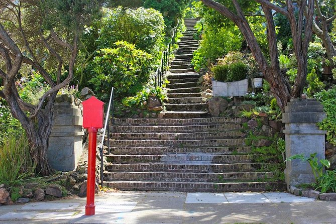 San Francisco Urban Hike: Castro and Twin Peaks - Practical Details and Value