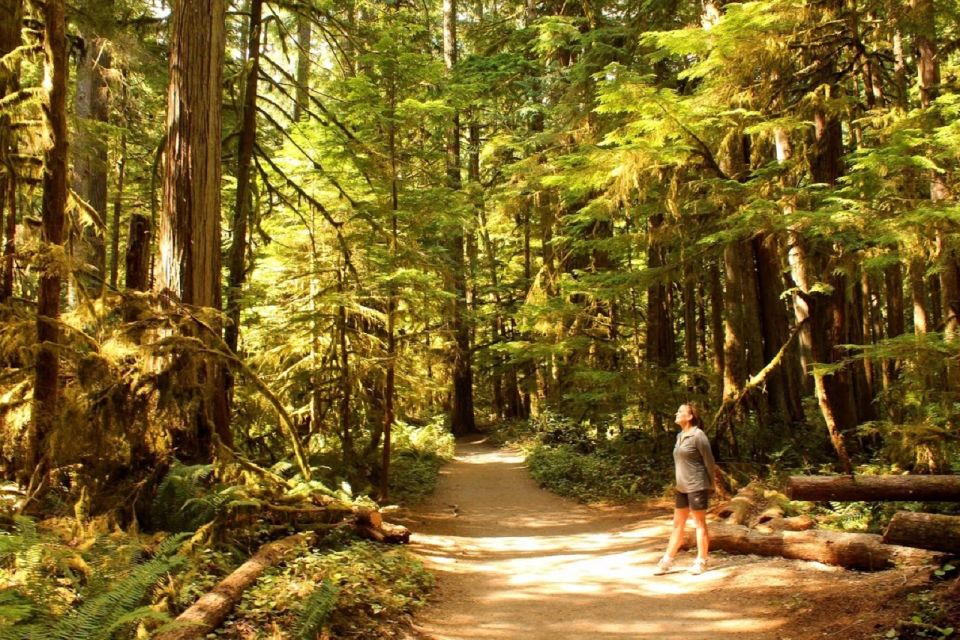 Seattle: Olympic National Park Small-Group Tour - A Comprehensive Look at the Tour Itself