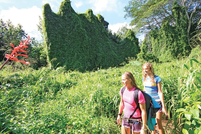 Secret Falls Kayak and Hike in Kauai - The Kayaking Segment: 4 Miles of Scenic Paddling