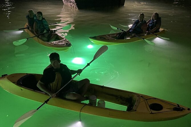 Sharkey's Glass Bottom Fish Feeding LED Night Tour in Clearwater - The Value for Money and Overall Quality
