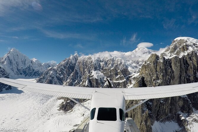 Small-Group Flight Denali National Park Tour with Guided Hike - An In-Depth Look at the Experience
