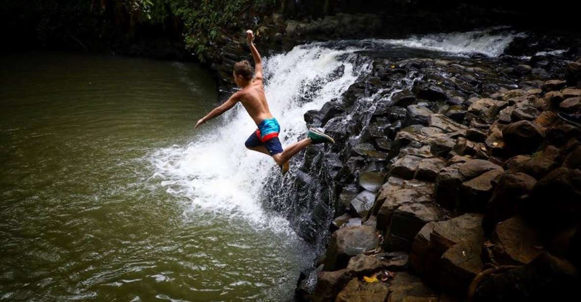 South Maui: Waterfall Tour w/ Kayak, Snorkel, and Hike - The Nitty-Gritty of the Tour Experience