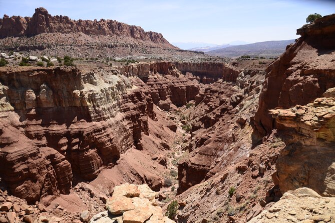 Spectacular 8-Hour Guided Llama Hike with Lunch and Dinner - Starting Out: What to Expect in the Early Morning