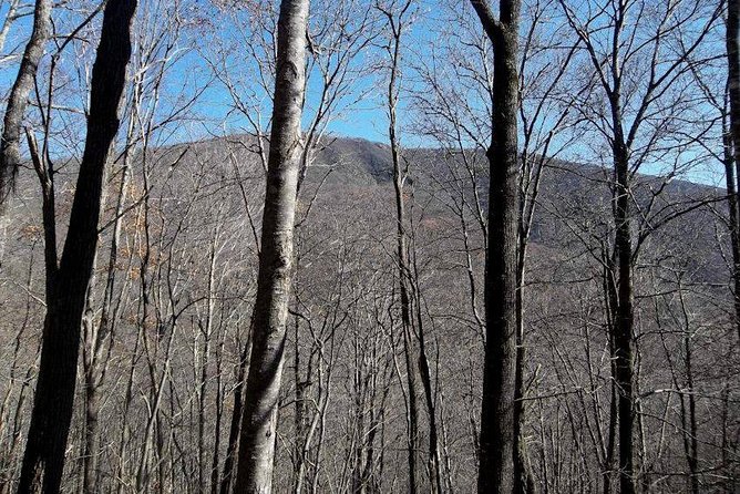 Standing Indian Mountain Hike plus Wine Tasting - What’s Included and What to Keep in Mind