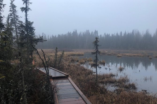Summer Valley and Forest Hike - What makes this tour stand out?