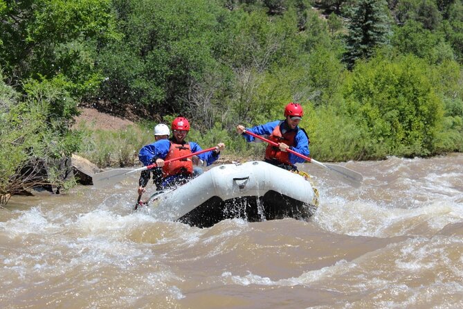 Telluride Afternoon Half Day Rafting Trip - San Miguel River - What to Expect: The Itinerary and Experience