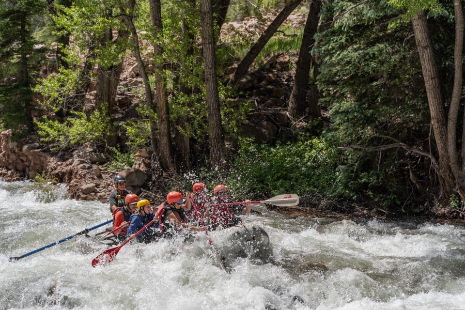 Telluride Morning Half Day Rafting Trip - San Miguel River - The Scenic Setting
