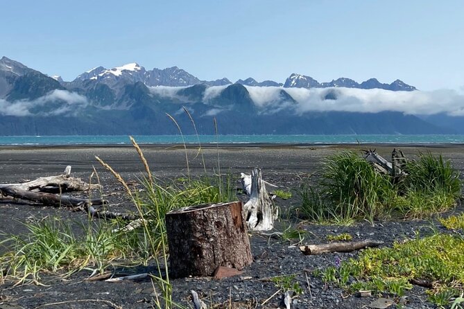 Tonsina Beach Hike with Seward Guided Hikes - An In-Depth Look at the Experience
