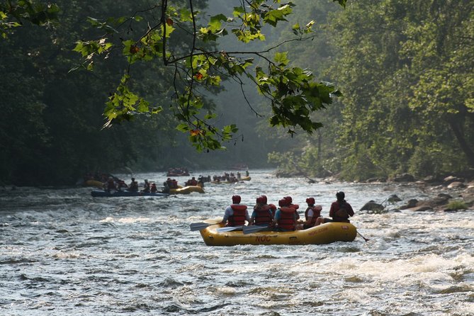 Upper Pigeon River Whitewater Rafting - Starting Point and Transportation
