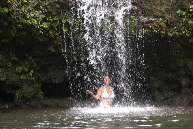 Waterfall & Rainforest Hiking Adventure with Hotel Pickup - An In-Depth Look at the Tour Itinerary