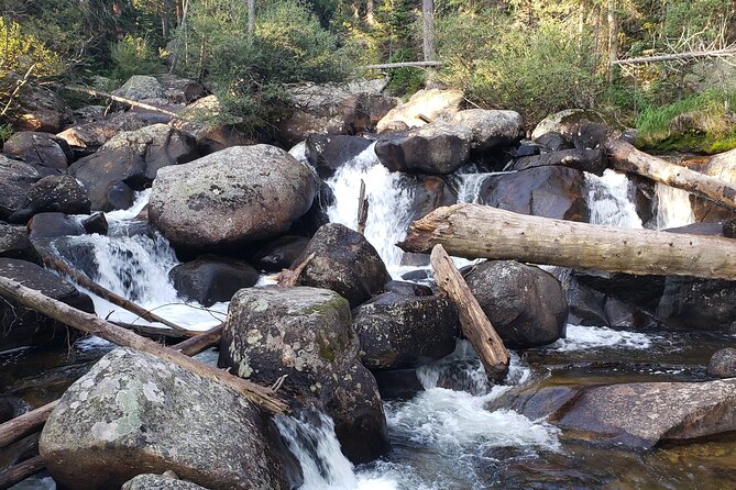 Women's Hike to Ouzel Falls in Rocky Mountain National Park - Highlights of the Women’s Hike to Ouzel Falls
