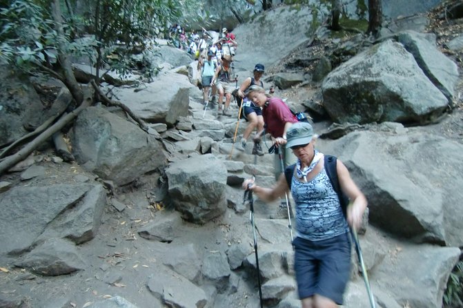 Yosemite Day Hike from Glacier Point Including Panorama Trail - A Complete Breakdown: What You Can Expect
