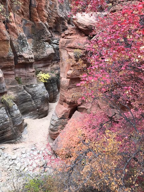 Zion National Park 5-hour Tour: Hike and Drive - Detailed Breakdown of the Tour Experience