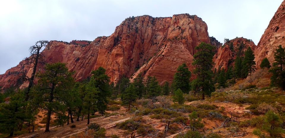 Zion National Park - Kolob Terrace: 1/2 Day Sightseeing Tour - Highlights of the Zion Kolob Terrace Tour