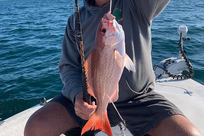4-Hour Private Near-Shore Fishing Charter from Orange Beach - The Value of a Private Charter