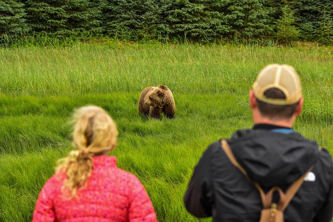 Alaska Bear Viewing Adventure from Seward - Instruction and Paddling Skills on Kenai Lake