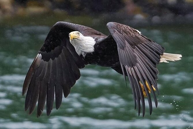 Bering Sea Crab Fisherman's Tour from Ketchikan - The Itinerary in Detail: An Authentic Glimpse