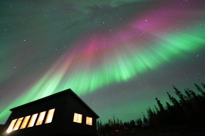 Best Alaskan Cabin Aurora Viewing with Photography @Aurora Camp - What Past Travelers Say