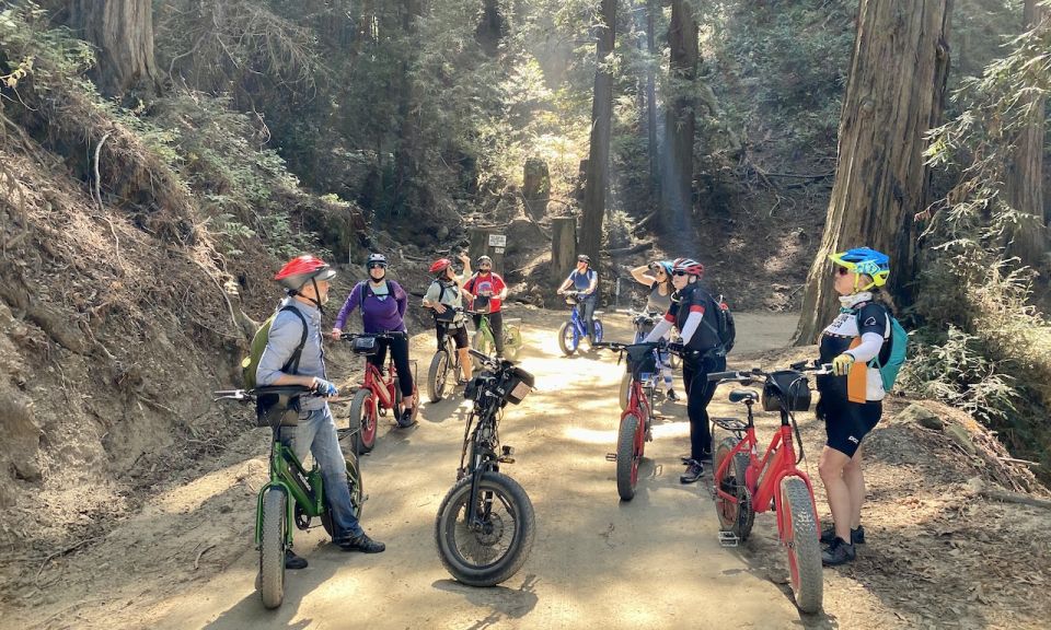 Big Sur's Old Coast Road E-Bike Tour - Who Will Love This Tour?