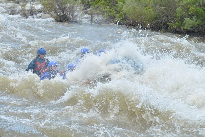 Bighorn Sheep Canyon Half-Day Rafting - The Experience and it’s Key Highlights