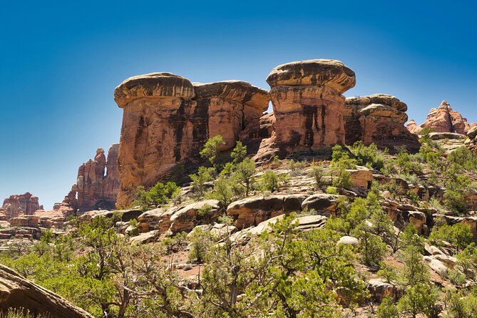Canyonlands Full Day Private Tour and Hike - Why This Tour Is a Good Deal