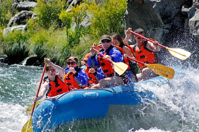 Deschutes River Rafting - Half Day Adventure - Why Choose This Tour?