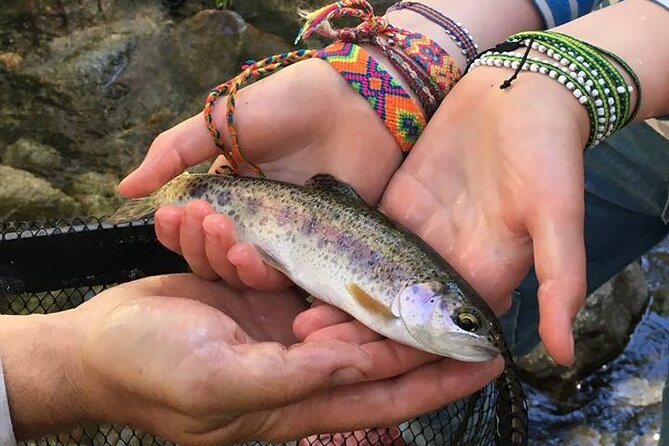 Family Fun Private Half Day Fly Fishing Adventure - Who Should Consider This Tour?