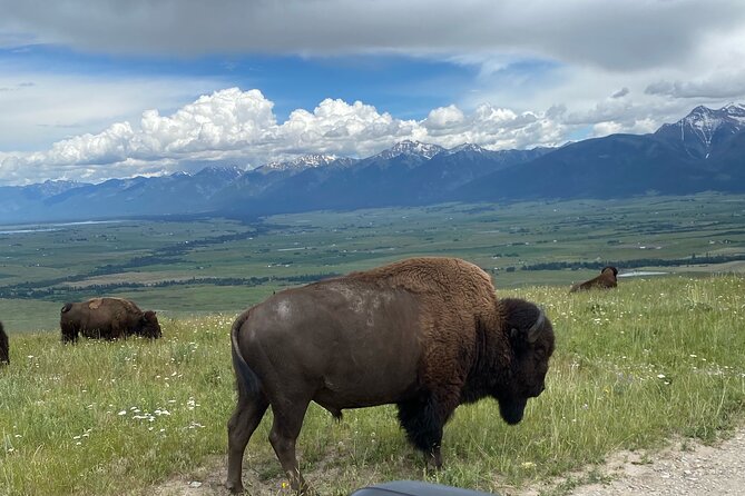 Flathead Lake & Bison Range Scenic Driving Tour - Practical Details and Considerations