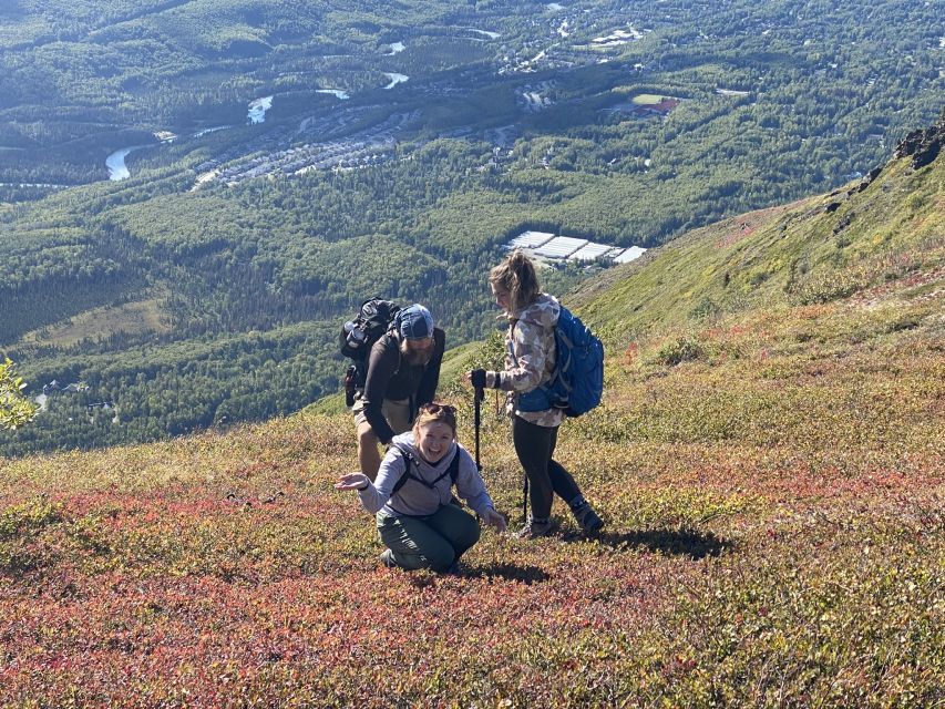 From Anchorage: Chugach State Park Guided Alpine Trek - What Surprised Us — and What You’ll Love
