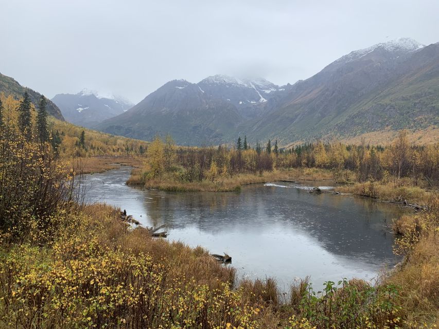 From Anchorage: Valley and Forest Hike with Naturalist Guide - Why This Tour Offers Good Value