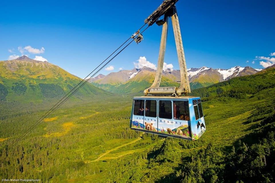 From Seward or Whittier: Guided Craft Tour and Ship Transfer - Who Will Love This Tour?