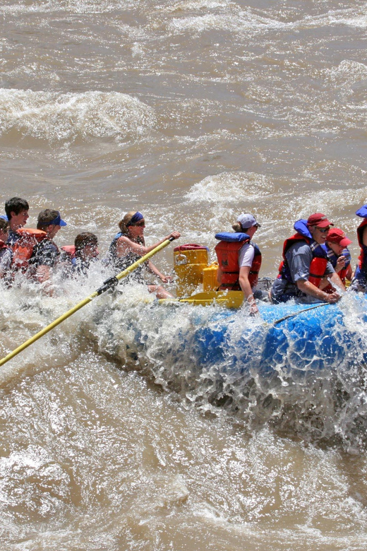 Full-Day Colorado River Rafting Tour at Fisher Towers - Reviews and Real Traveler Insights