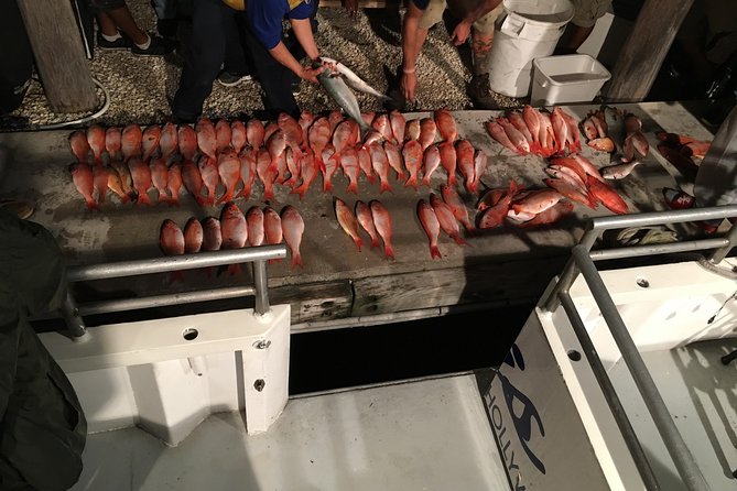 Half-Day Fishing Trip in Fort Lauderdale - Authentic Perspectives: Highlighting Real Experiences