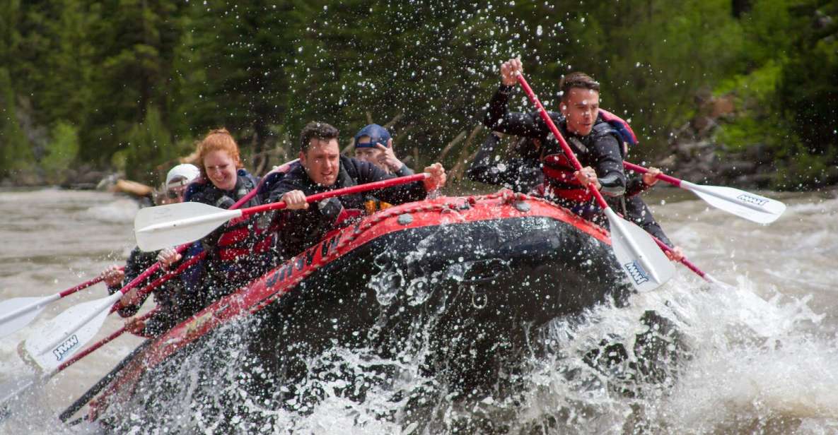 Jackson: Snake River Class 2-3 Whitewater Rafting Adventure - What Makes This Tour Special?