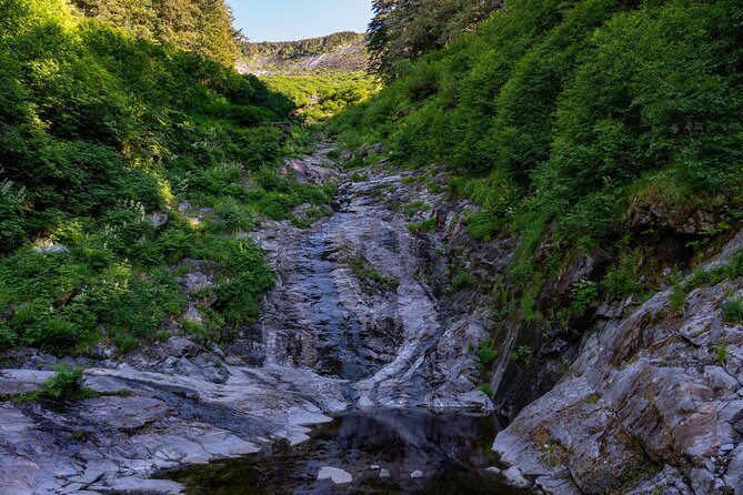 Ketchikan Mountain Lake Trek to Avalanche Chute - What the Reviews Say: Authentic Experiences and Personal Touches