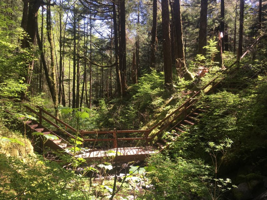 Ketchikan: Tongass Forest Alaska Bigfoot ATV Ride and Hike - Final Thoughts