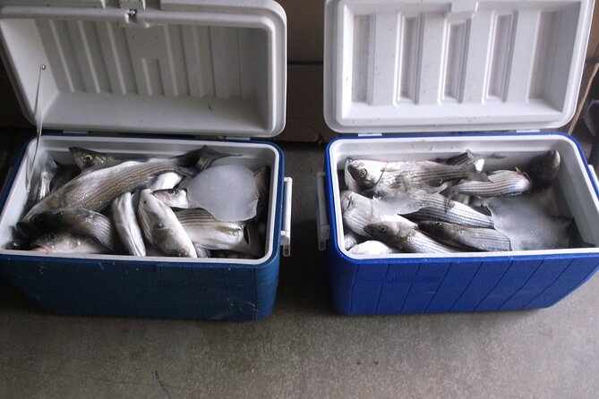 Lake Mead Striped Bass Fishing Getaway - Pricing and Value: Is It Worth It?