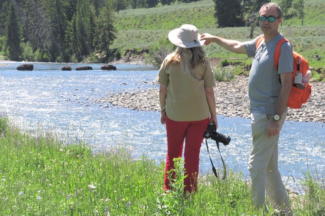 Lamar Valley Safari Hiking Tour with Lunch - Value for Your Money